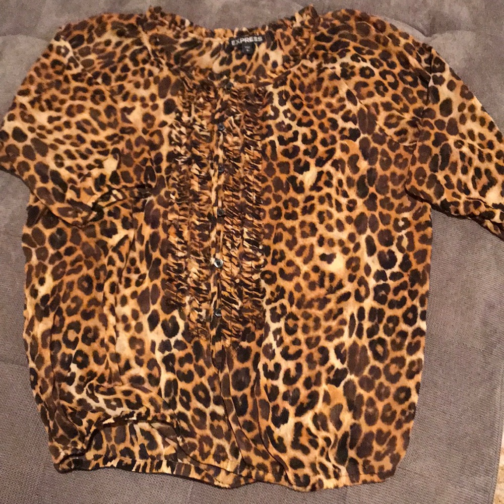 Leopard print sheer blouse